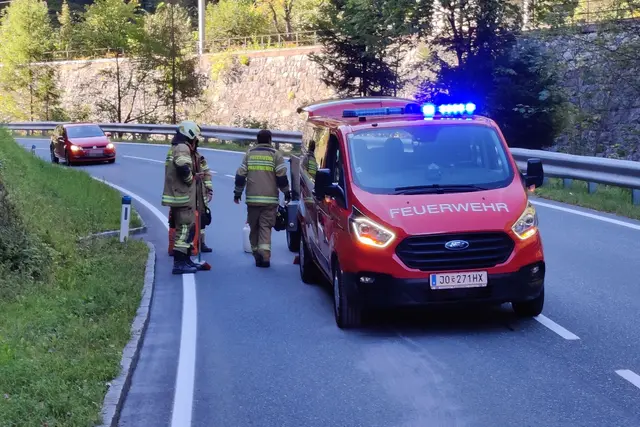 Foto: FF Pfarrwerfen