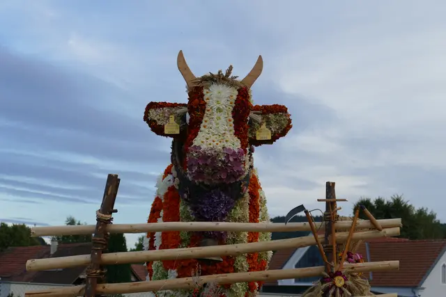 Foto: MeinBezirk/Franz Putz