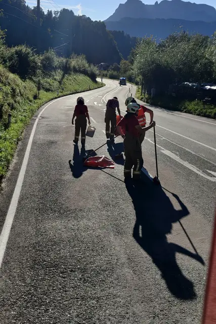 Foto: FF Pfarrwerfen