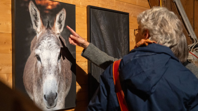 Foto: Carmen Straßer / weissenseefoto 