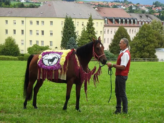 Foto: MeinBezirk/Franz Putz