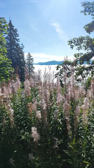 wie klein Semmering und Sonnwendstein hier aussehen... | Foto: I.Wozonig