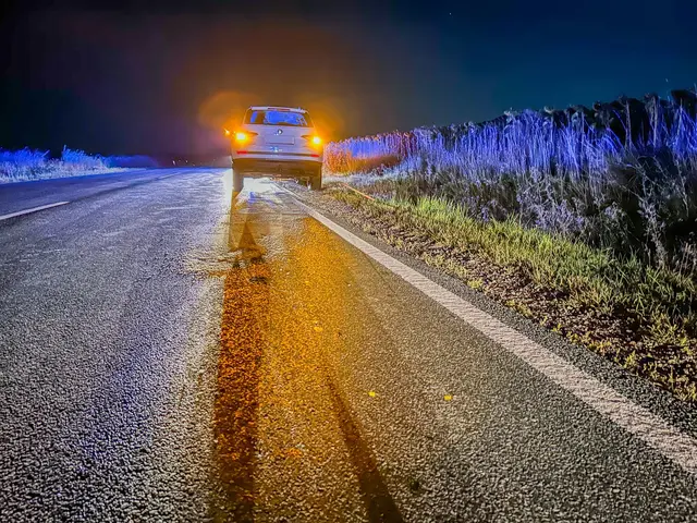 Ein Fahrzeug verlor plötzlich Öl und hinterließ eine 300 Meter lange Spur. | Foto: Stefan Gruber / FF Fuglau