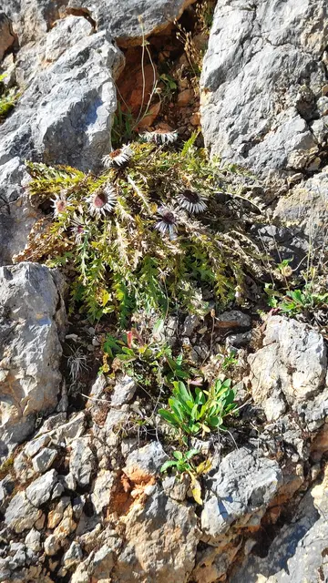 weiter geht's... | Foto: I.Wozonig