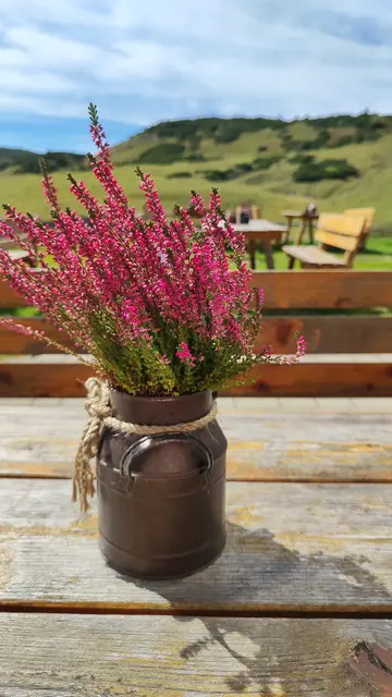 Platz nehmen und regionale Köstlichkeiten genießen... | Foto: I.Wozonig