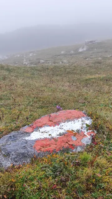 mystisch ziehen die Nebelschwaden dahin... | Foto: I.Wozonig