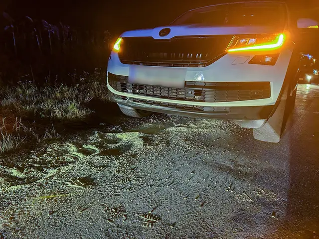 Meter für Meter breitete sich die glitschige Gefahr aus und verwandelte die sonst ruhige Straße in eine potenziell tödliche Falle für andere Verkehrsteilnehmer. | Foto: Stefan Gruber / FF Fuglau