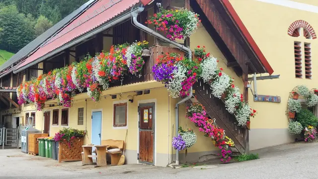 beim Biobauernhof Michlbauer gibt es Blumenschmuck ohne Ende... | Foto: I.Wozonig