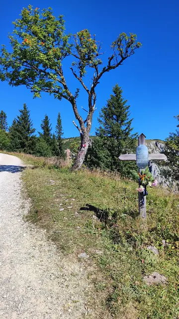 ein berührendes Gedenkkreuz an eine Mutter die hier einst vom Blitz erschlagen wurde... | Foto: I.Wozonig