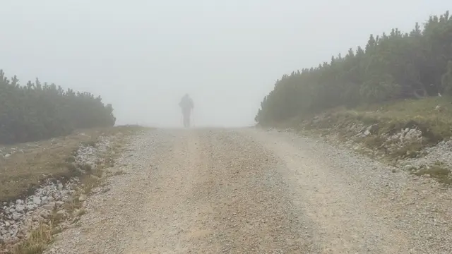 den Begleiter nicht aus den Augen verlieren... | Foto: I.Wozonig