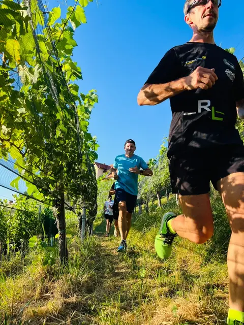 Ab durch die Weinberge geht es beim ersten Südsteirischen Terrassenlauf in Kitzeck | Foto: Running Leibnitz