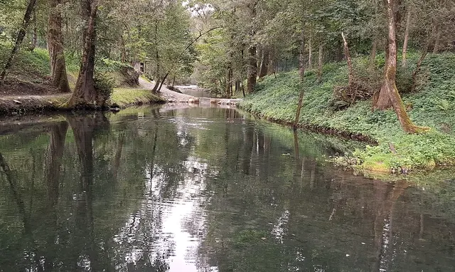Die Teiche liegen in einem idyllischen Waldgebiet. | Foto: Josef Wind