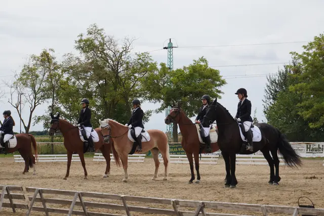 Das Reitertreffen des Ländlichen Reit- und Fahrvereins Gols  wurde zu einem großen Erfolg.  | Foto: EPS/Privat