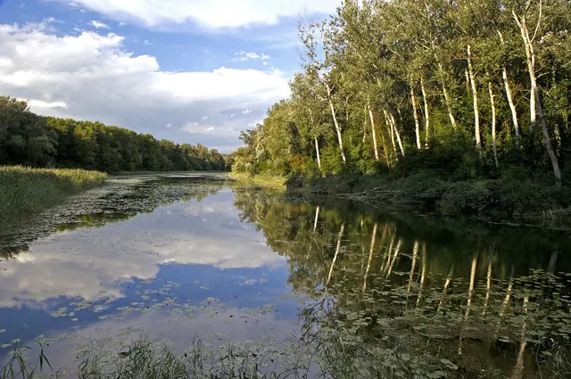 Die Donau-Auen sind eine der letzten intakten Au-Landschaften Europas und stehen als Nationalpark unter Naturschutz.
| Foto: Nationalpark Donauauen Kovacs