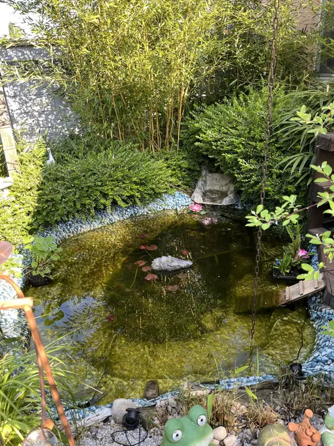 Unser kleiner Teich täglich kommen die Libellen | Foto: Andrea Waloschek