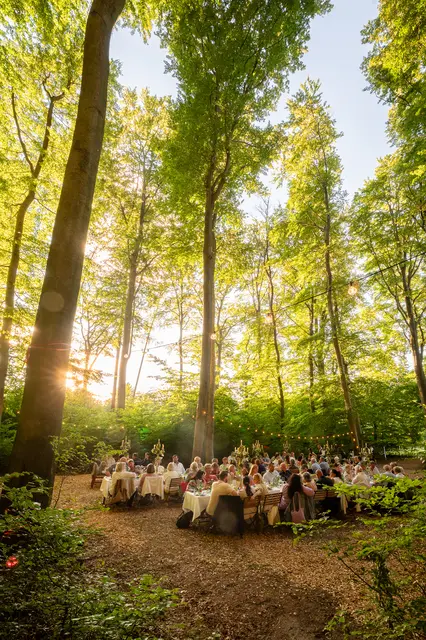 Märchenhaftes Ambiente beim WienerWaldDinner in Mauerbach | Foto: Wienerwald Tourismus/Christian Dusek
