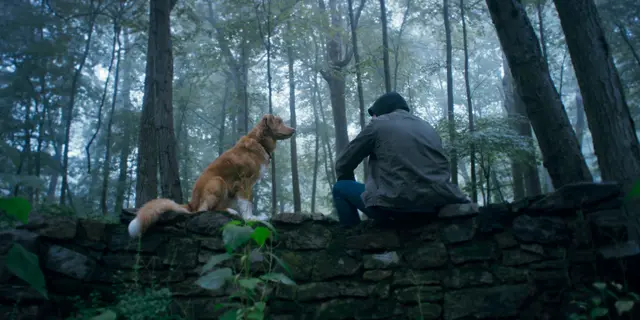 Der Horrorfilm "Good Boy" wird im Admiralkino in einer Sondervorstellung auch als Hundevorstellung gezeigt. Hier ist der eigene Vierbeiner erwünscht. 
