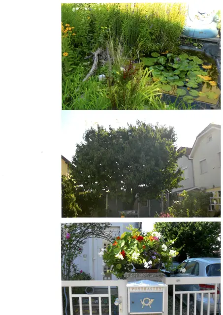 Und hier die Fotos - Teil 2. | Foto: privat