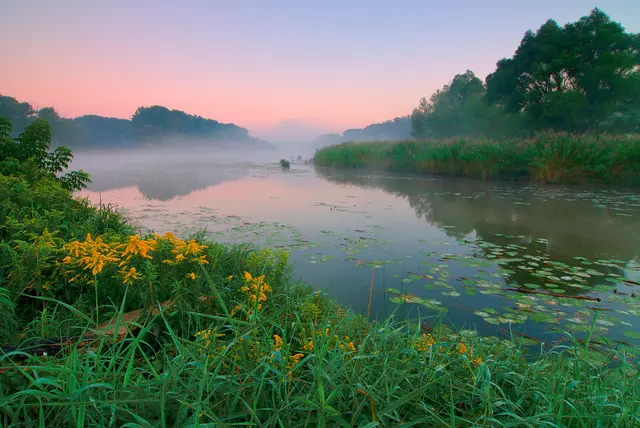 Spätsommer im Nationalpark Donau-Auen | Foto: Schaffer
