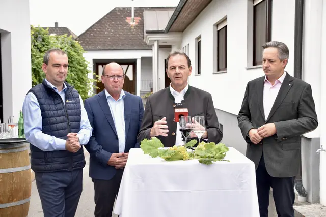 Die Weinlese 2025 übertrifft alle Erwartungen. Dennoch stehen heimische Weinbaubetriebe vor herausfordernden Zeiten.  | Foto: Stefan Schneider