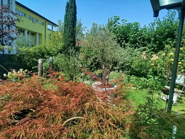 Mein kleiner Garten | Foto: Bodini