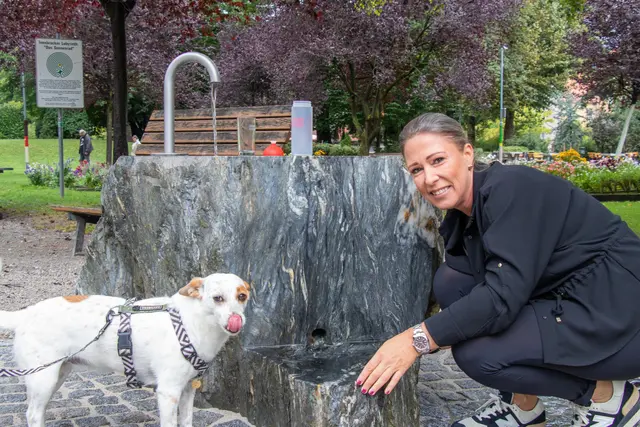 Neuer Durstlöscher im Rapoldipark. | Foto:  M. Freinhofer