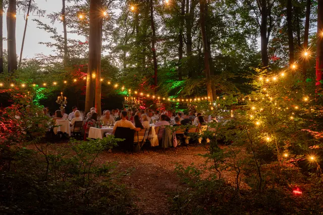 Ein Sommernachtstraum im Wienerwald | Foto: Wienerwald Tourismus/Christian Dusek