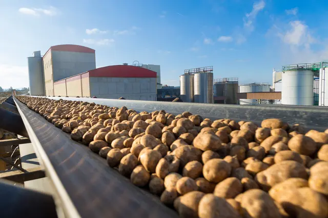Bei Agrana werden nicht nur Zuckerrüben verabreitet. | Foto: agrana_apa/schedl