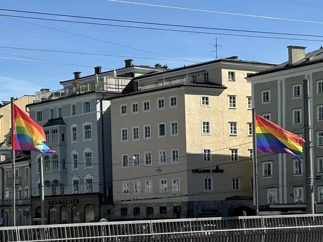 Regenbogenfahnen schmückten die Staatsbrücke  | Foto: Lisa Gold 