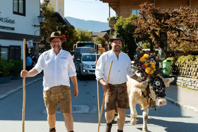 Traditionsreiche Almabtriebe und Veranstaltungen in Brixen, Westendorf und Kirchberg. | Foto: TVB Kitzbüheler Alpen-Brixental/Ringler
