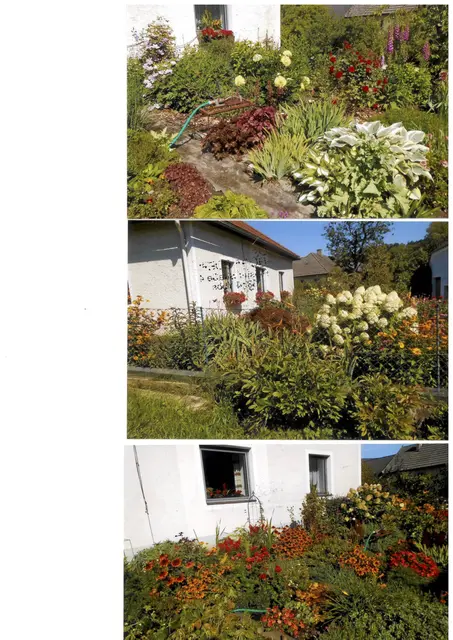 Und hier ist der zweite Teil der Fotos. | Foto: privat