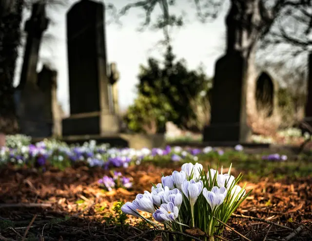 Am 1. November (Allerheiligen) und 2. November (Allerseelen) werden die Gräber mit Kerzen und Blumen geschmückt. | Foto: Pexels