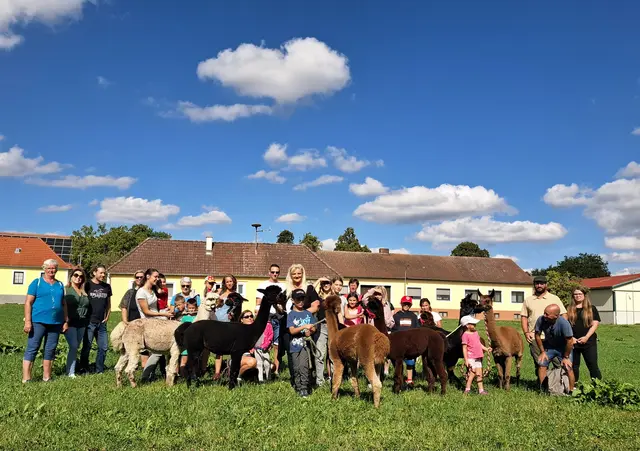 In Harth stand eine Familienwanderung ganz im Zeichen der flauschigen Alpakas. | Foto: VHS Drosendorf