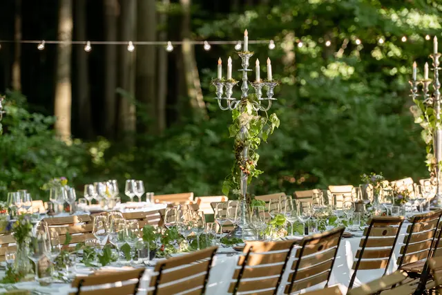 Die fein gedeckte Tafel unter den imposanten Baumkronen des Buchenhochwaldes | Foto: Studio Kerschbaum