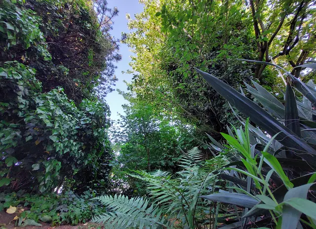 Das Besondere an unserer grünen Oase ist, dass sie sich mitten in einer Siedlung befindet.