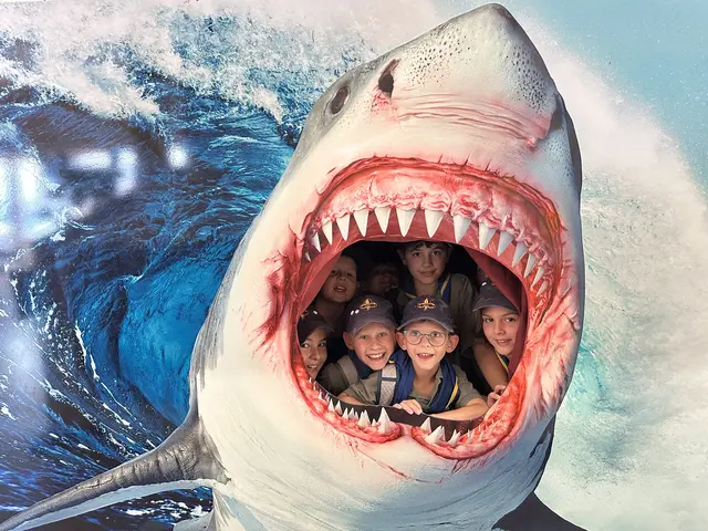 Der Hai in der Fossilienwelt verschlang die Kinder. | Foto: Pfadfinder Zwettl