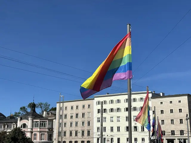 Regenbogenfahnen schmückten die Staatsbrücke  | Foto: Lisa Gold 