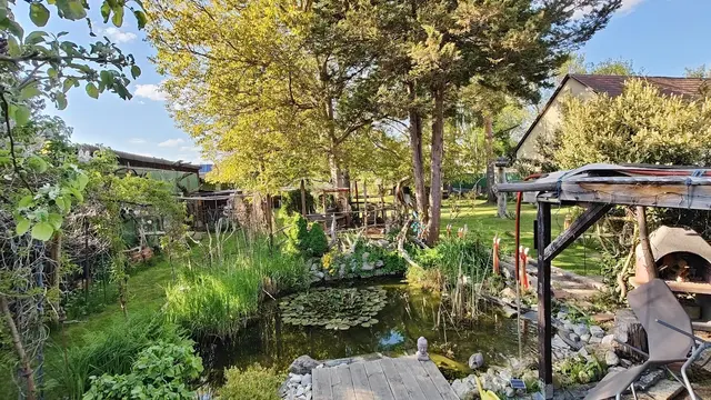 im Hintern teil des gartens 80 jahre alte Bäume, Gartenteich, und viele Sitzgelegenheiten 1500m² wohlfühlen | Foto: kurt.karasek@gmx.at