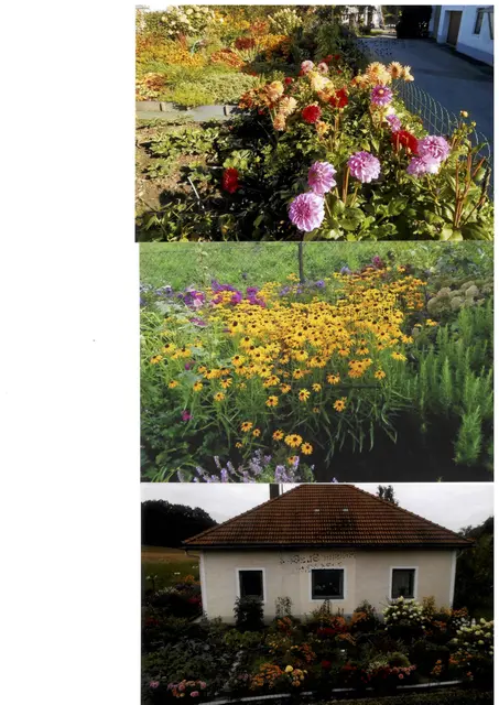 Auch diese Fotos mit bunter Blütenpracht haben uns auf dem Postweg erreicht. | Foto: privat