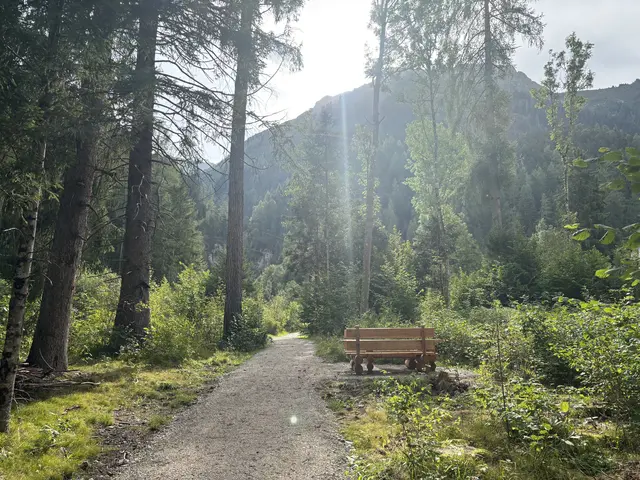 Die neu angelegten Wege im Trese Waldele sind leicht begehbar. | Foto: MeinBezirk/Günther Reichel