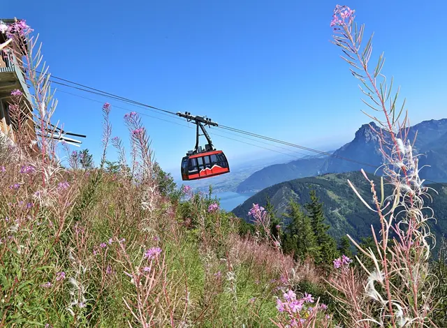 Vorfreude auf den 13. September: Almliedersingen und Blasmusik wie früher am Feuerkogel. | Foto: Hörmandinger