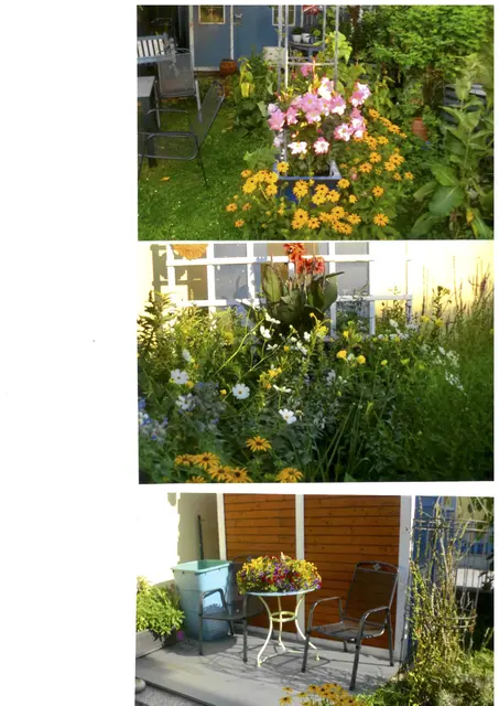 Und auch diese Fotos haben uns in einem klassischen Postkuvert erreicht. | Foto: privat