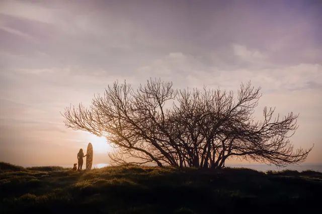 Eines der Gewinnerbilder. | Foto: FOOTPRINTS