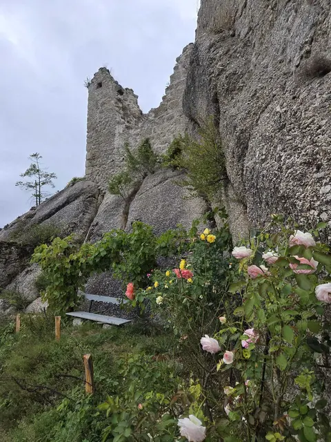 Ruine Klingenberg Rosengarten.  | Foto: Haider