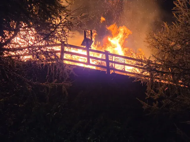 Es wurde niemand verletzt. | Foto: Freiwillige Feuerwehr Rennweg am Katschberg