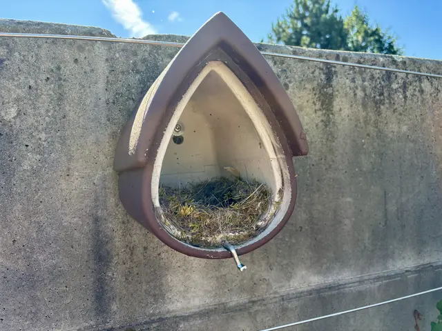 Die Reinigung im Spätsommer ist sehr wichtig. | Foto: Tanja Handlfinger
