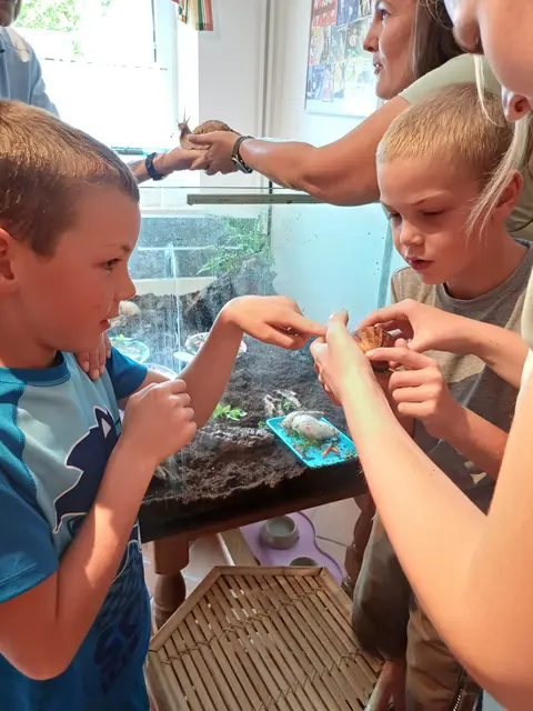 Tag der offenen Tür bei der Wohngruppe in Gumprechtsfelden: Einblicke in die tiergestützte Pädagogik | Foto: Judith Achleitner/Sozialpädagogisches Betreuungszentrum Schauboden