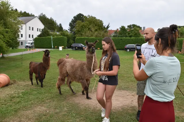 Tag der offenen Tür bei der Wohngruppe in Gumprechtsfelden: Einblicke in die tiergestützte Pädagogik | Foto: Roland Mayr/MeinBezirk Scheibbs