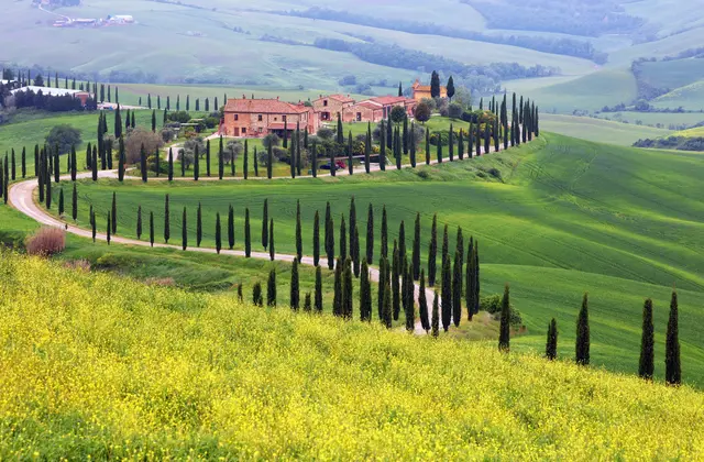 Typisch Toskana: sanfte Hügel, Zypressen und Weinberge. Genau hier finden Urlauber einige der schönsten Städte Italiens. | Foto: Panthermedia/Traveler01