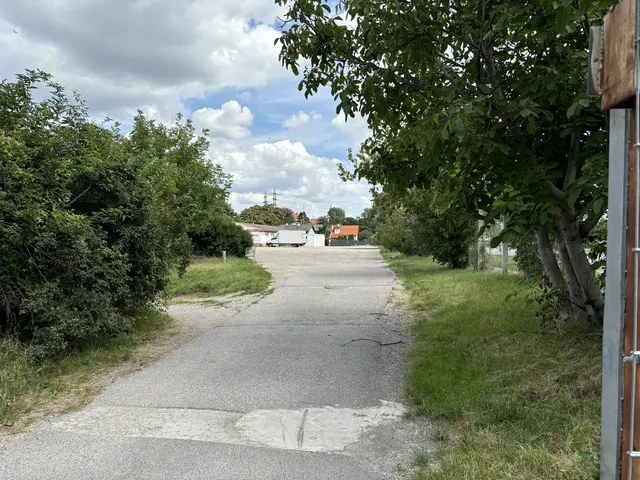 Foto: Luca Arztmann/MeinBezirk